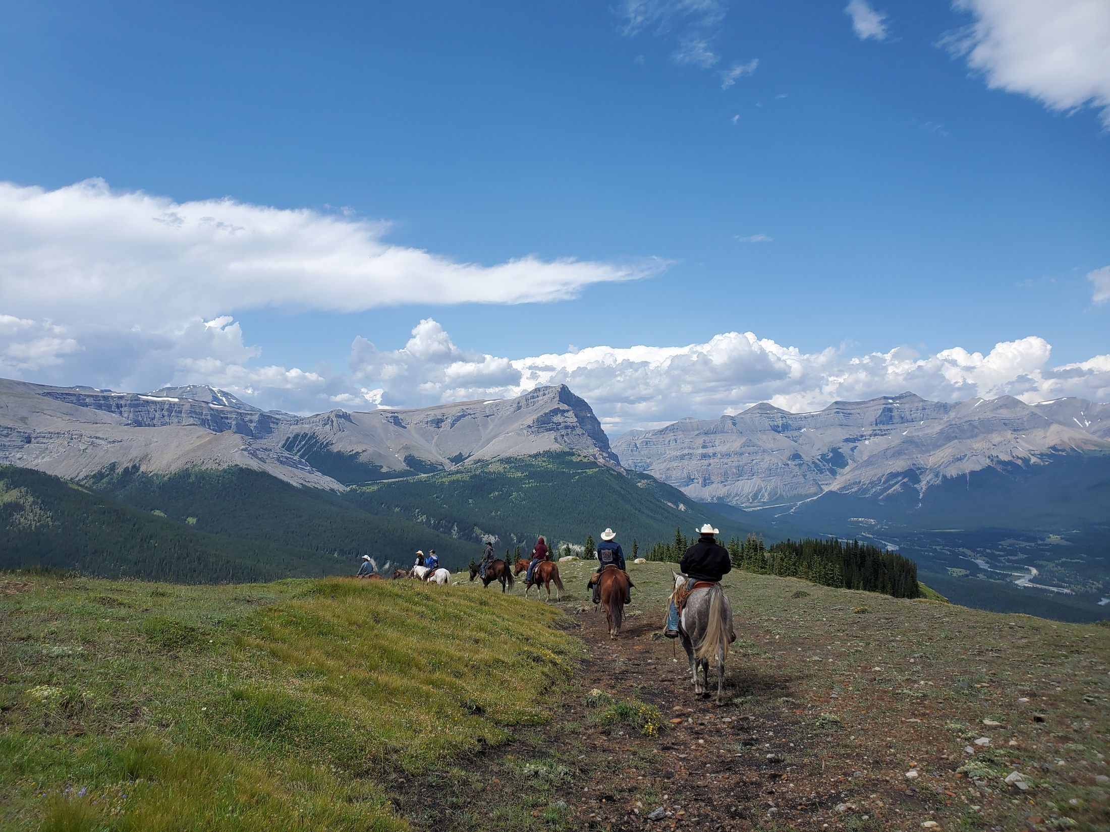 Group trail ride along an alpine ridge in Alberta